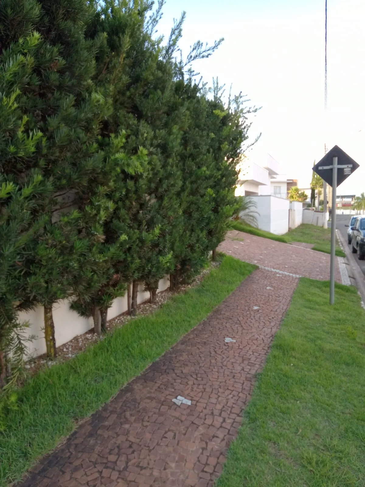 PHOTO-2025-11-25-19-41-07(5)